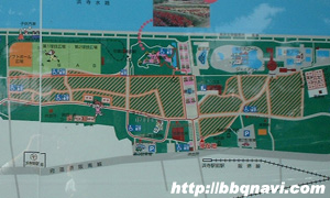 浜寺公園 公園内マップ