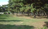 浜寺公園 