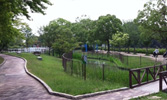 舟渡池公園